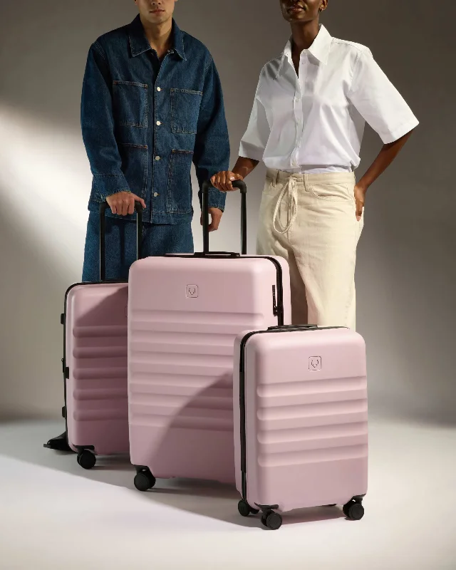 Large Cabin Suitcase Set in Moorland Pink - Icon Stripe